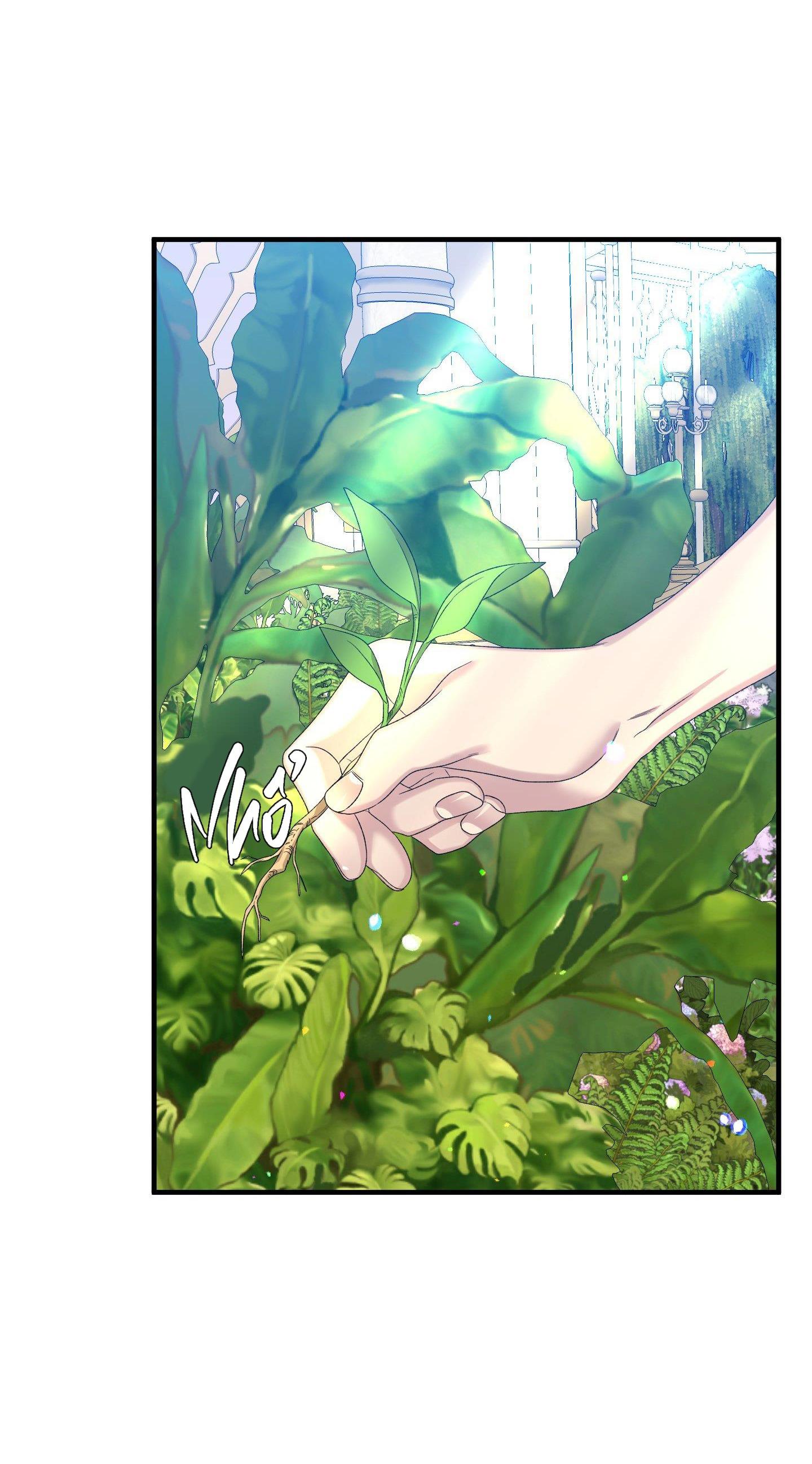 smyrna và capri chapter 54 11