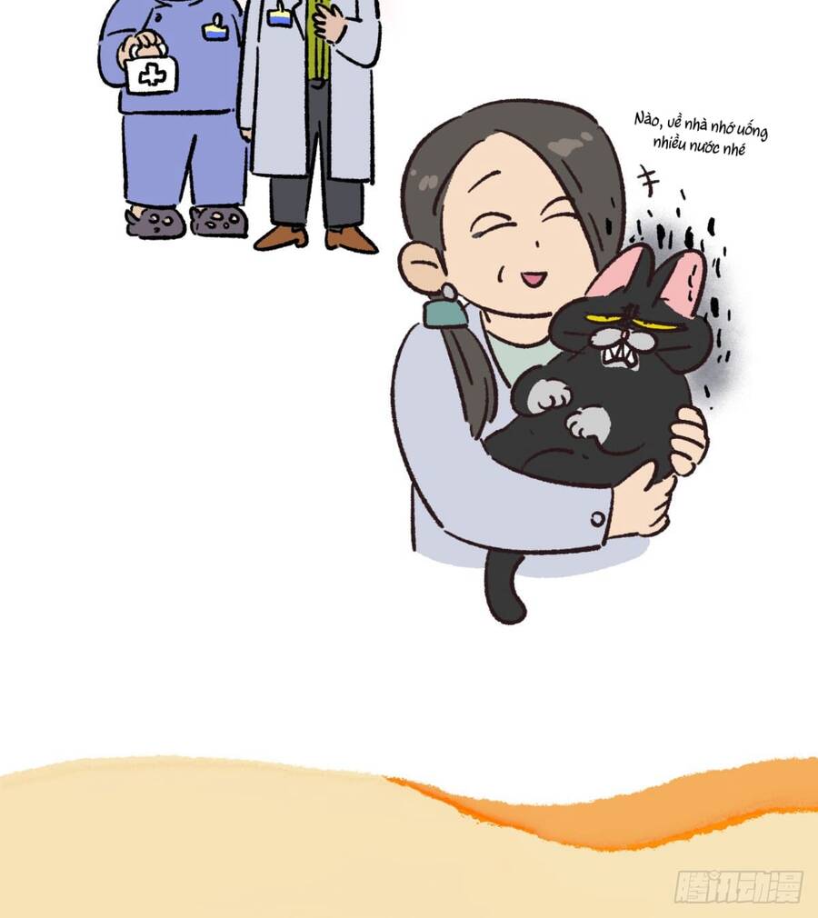 a mãn và mạch trà chapter 178 8