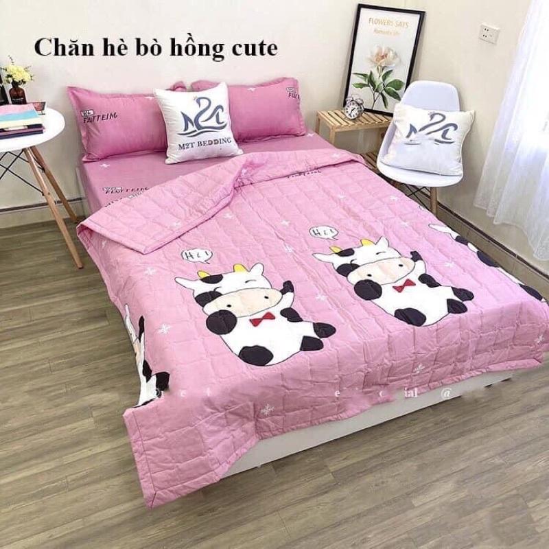 Chăn hè COTTON POLY trần bông 3 lớp
