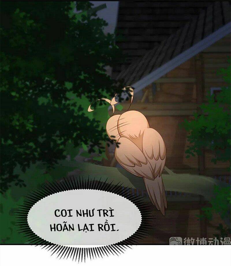 nam thần truy thê chỉ nam chapter 107.2 7