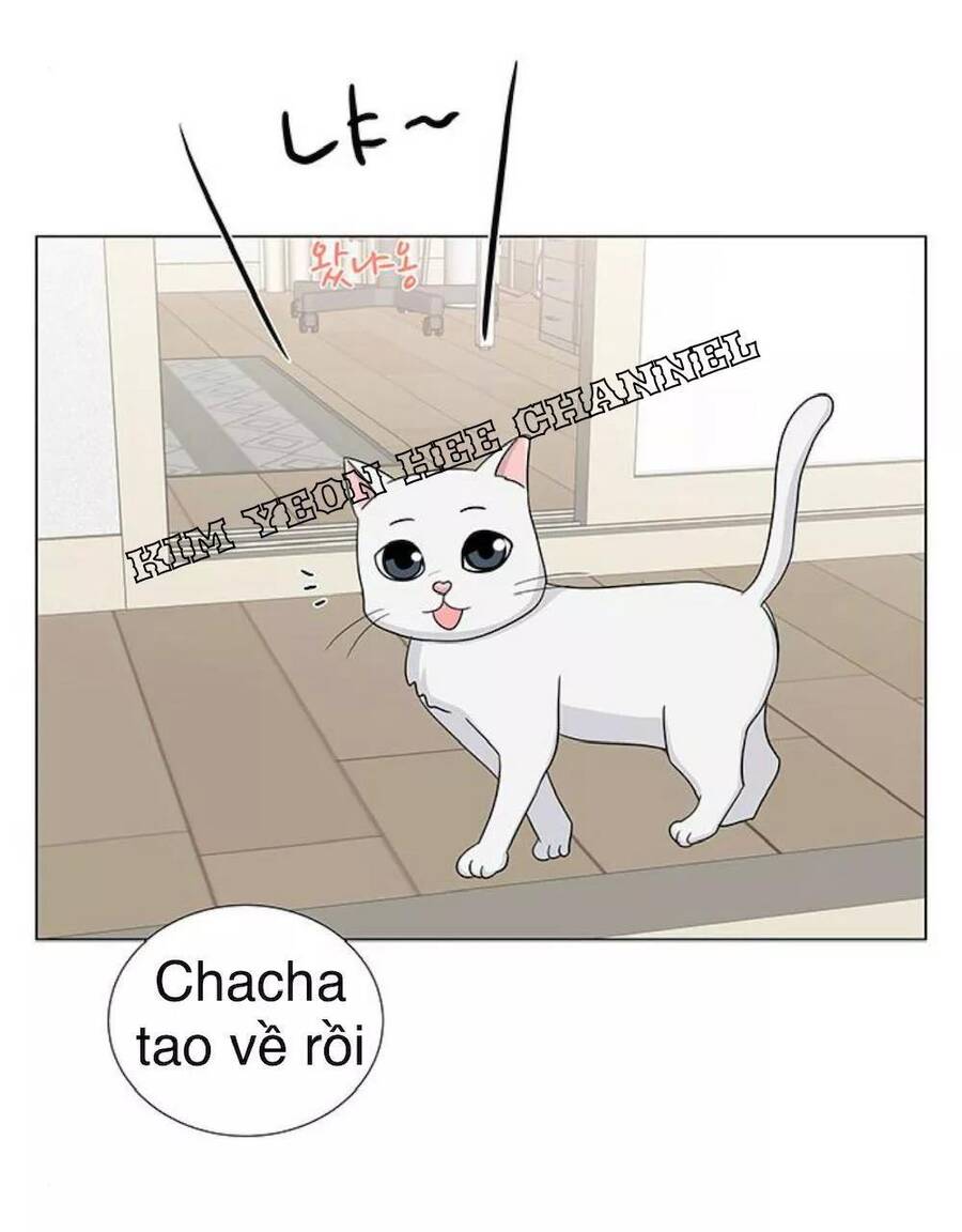 idol và sếp, em yêu ai? chapter 98 33