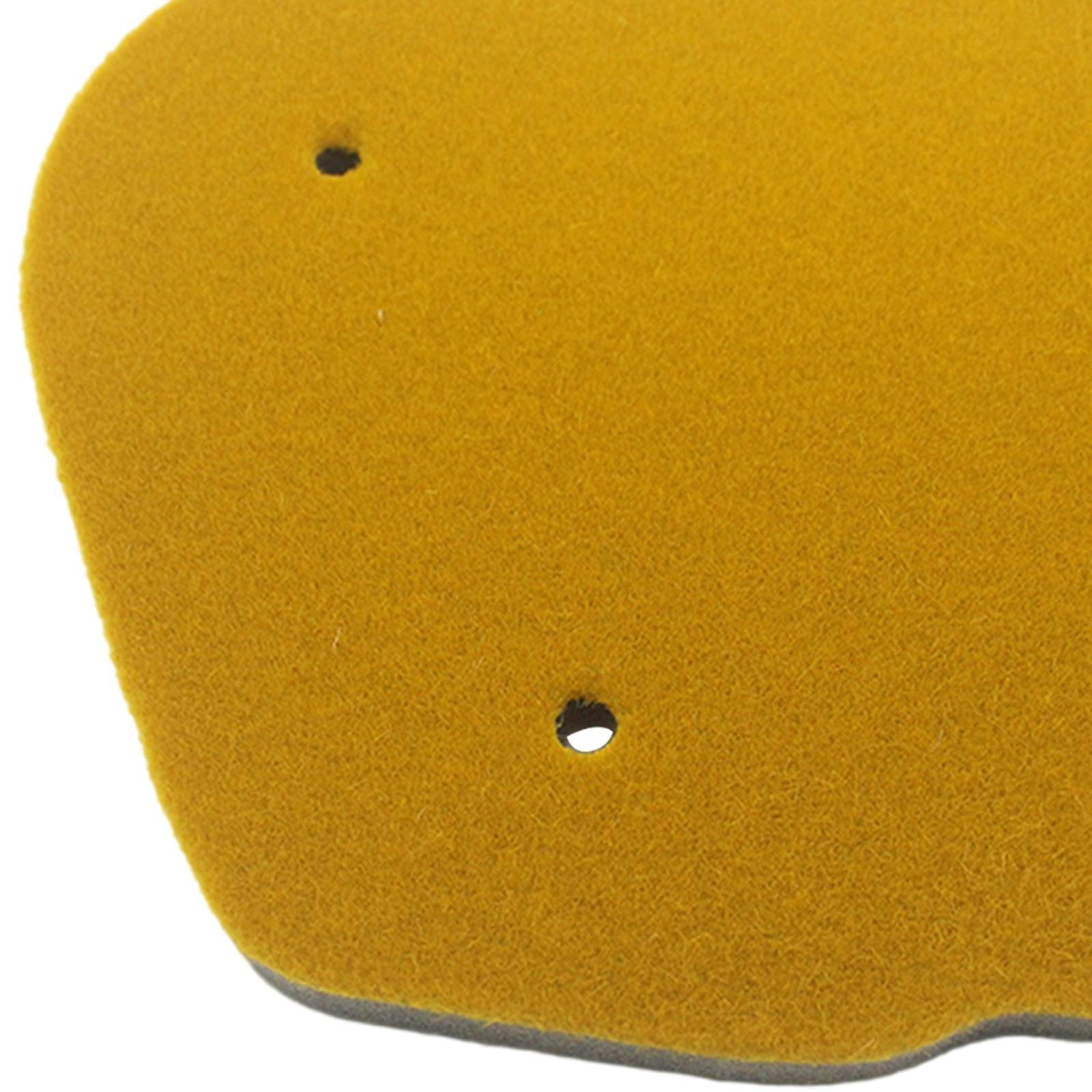 Filter Professional for WY BWS 50 WY50 BWS100
