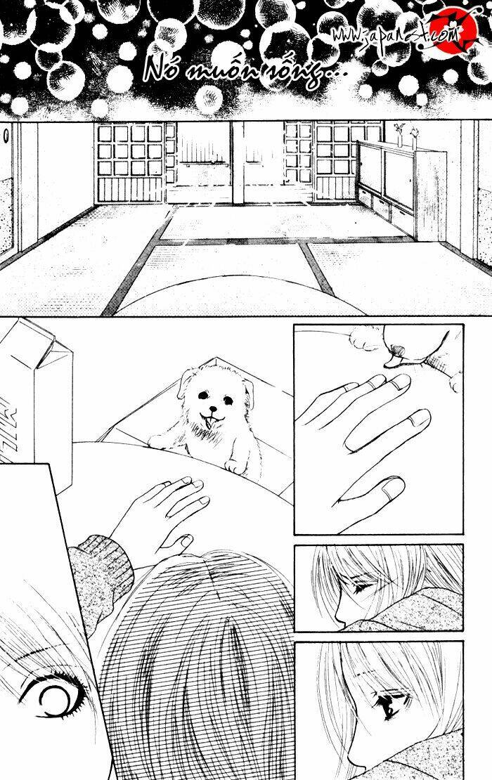 deep love - ayu no monogatari chapter 1 48