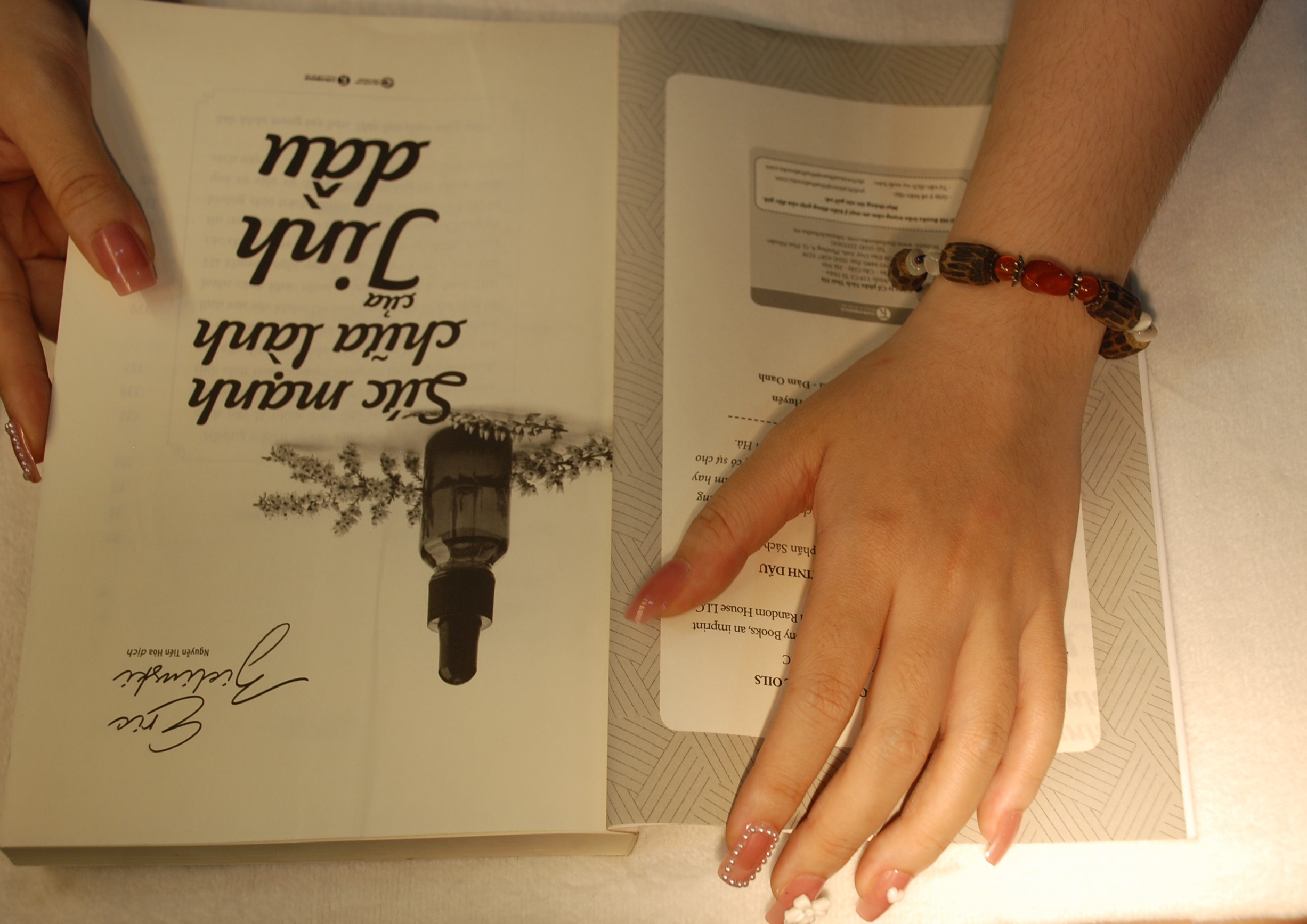 Vòng tay phong thủy Wild - Pravi