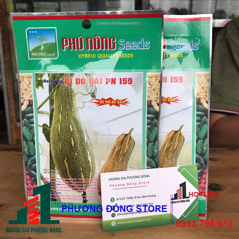 Combo 5-10 gói hạt giống Bí Đỏ Dài trồng quanh năm , kháng bệnh tốt