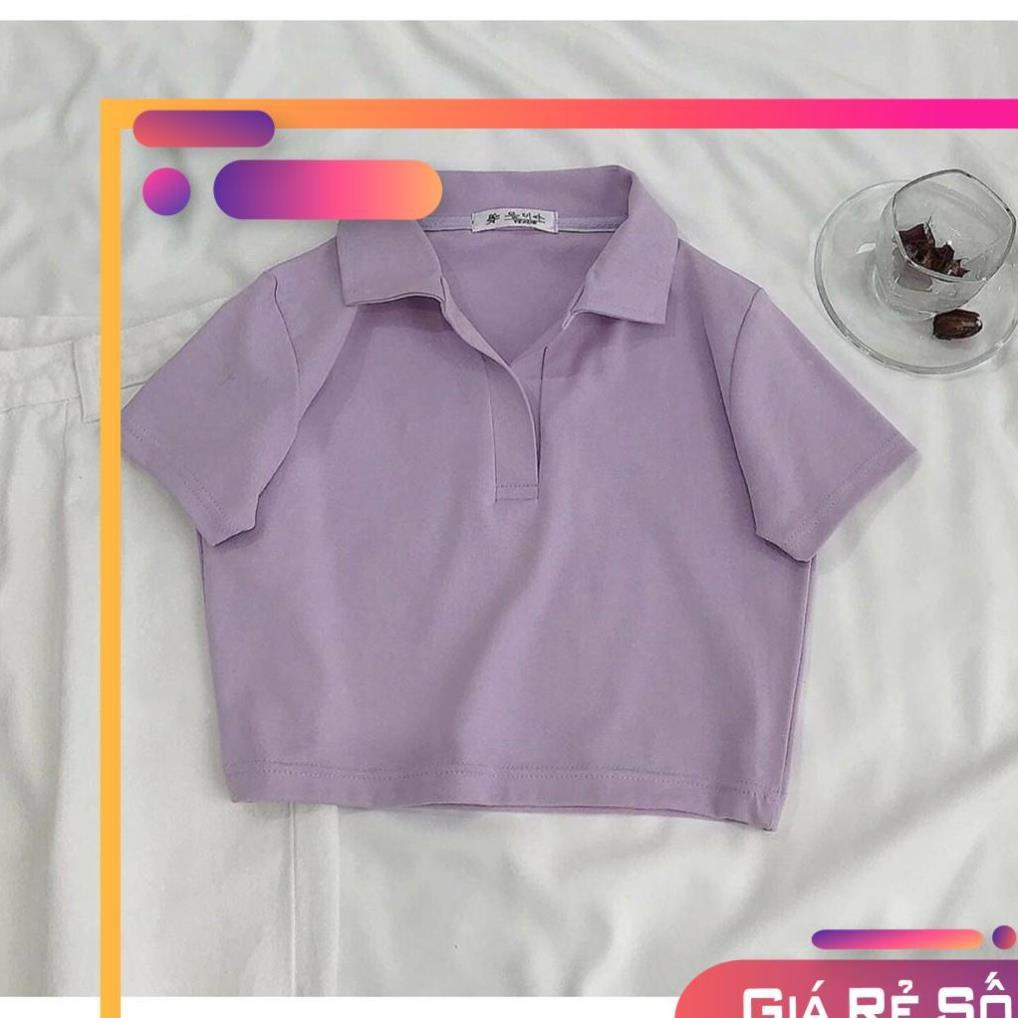 Áo Croptop POLO Nữ vải mịn