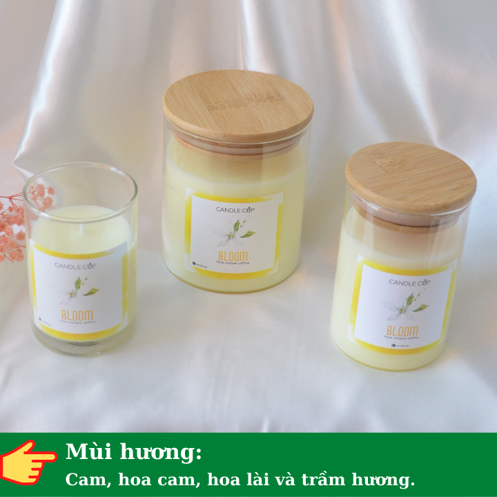 Nến Thơm Candle Cup - Mùi BLOOM