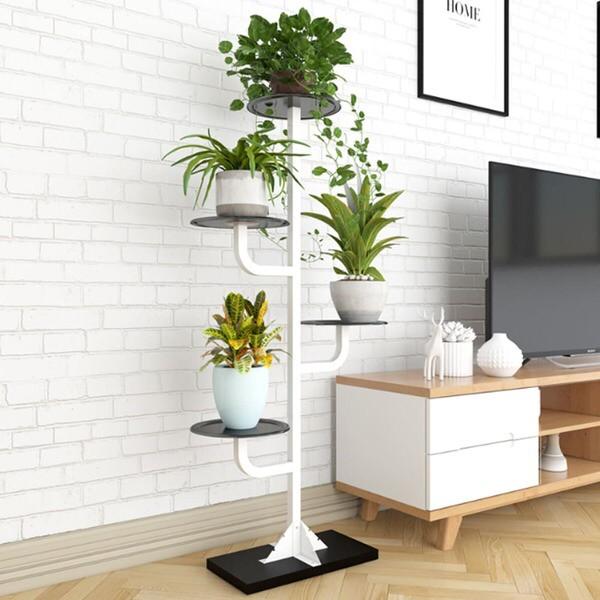 Kệ Để Cây Cảnh Cactus, thiết kế mới lạ trang trí phòng khách, ban công/ Giá tại xưởng