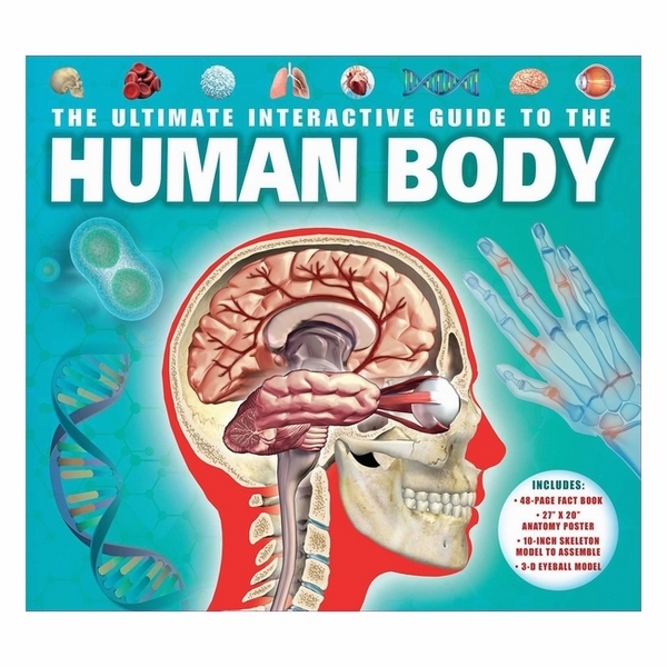 The Ultimate Interactive Guide To The Human Body