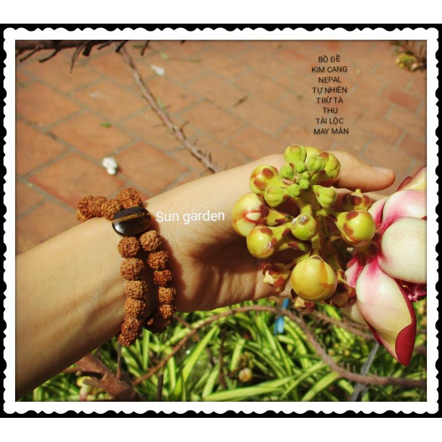 VÒNG TAY HẠT BỒ ĐỀ KIM CANG NEPAL MAY MẮN BÌNH AN