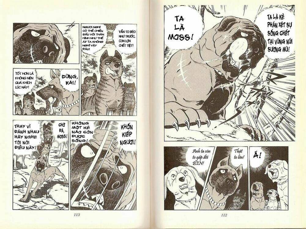 chú chó có nghĩa - ginga nagareboshi gin chapter 16 4