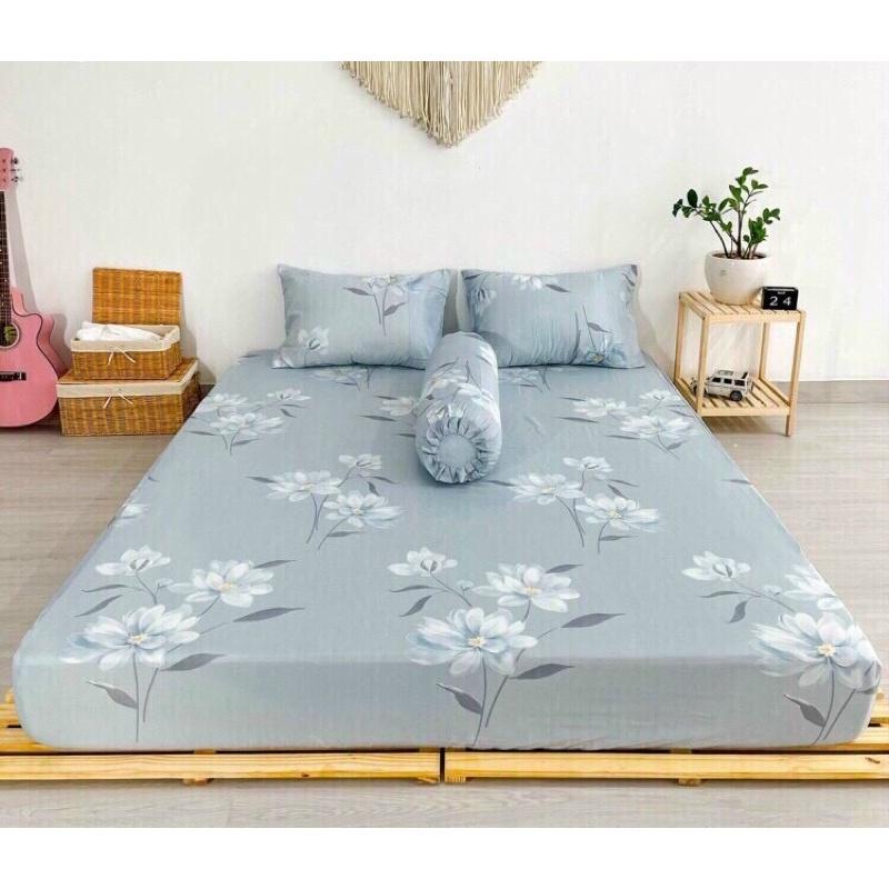 Ga nệm tencel 60s ko gối 30 mẫu nệm 5-27cm