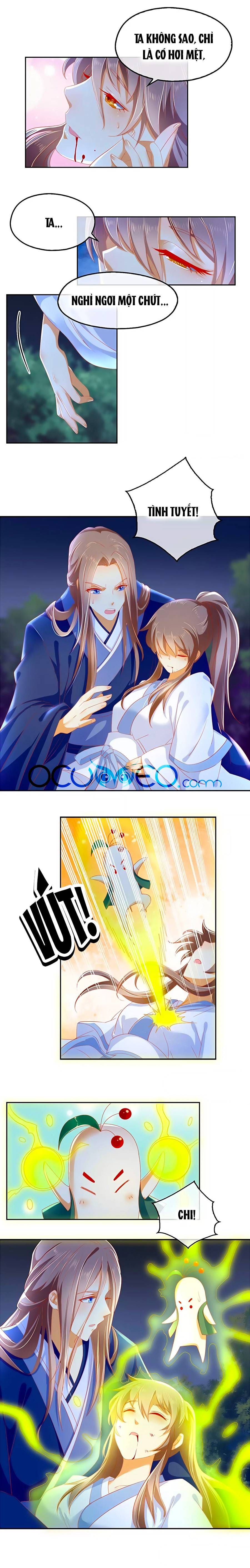 Khuynh Thành Cuồng Phi Của Tà Vương chapter 41 - Trang 3