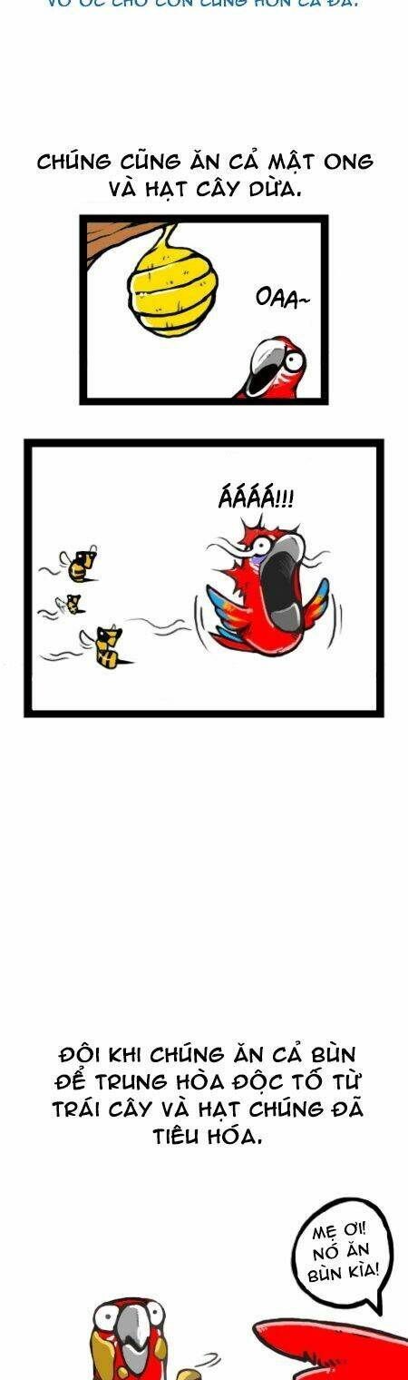 earth, human, and animal chapter 11 8