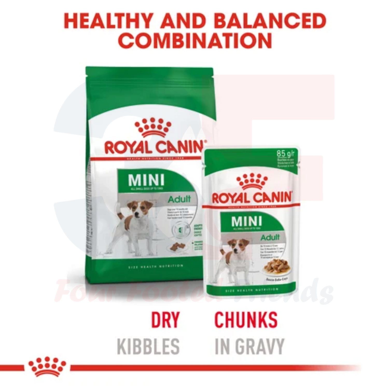 Thức Ăn Hạt Dành Cho Giống Chó Nhỏ Trưởng Thành Royal Canin Mini Adult