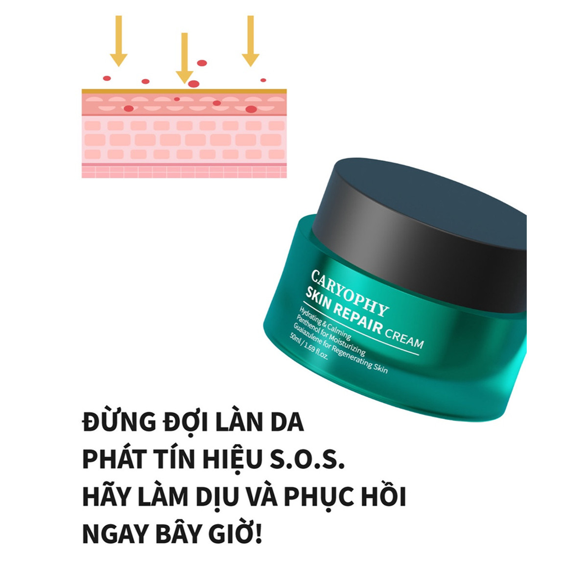 Kem Dưỡng Ẩm, Làm Dịu Phục Hồi Da Chuyên Sâu Caryophy SKIN REPAIR Cream 50ml