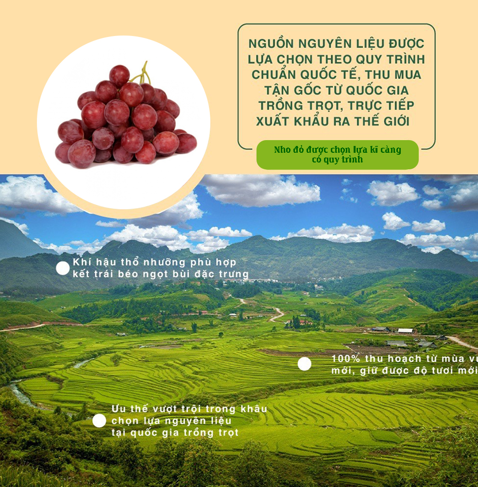 Nho Đỏ Chile/USA 454g Dan.D Pak