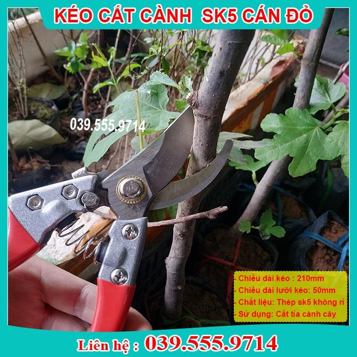 KÉO CẮT CÀNH SK5 CÁN ĐỎ NHẬT BẢN - KÉO BỀN ĐẸP GIÁ RẺ