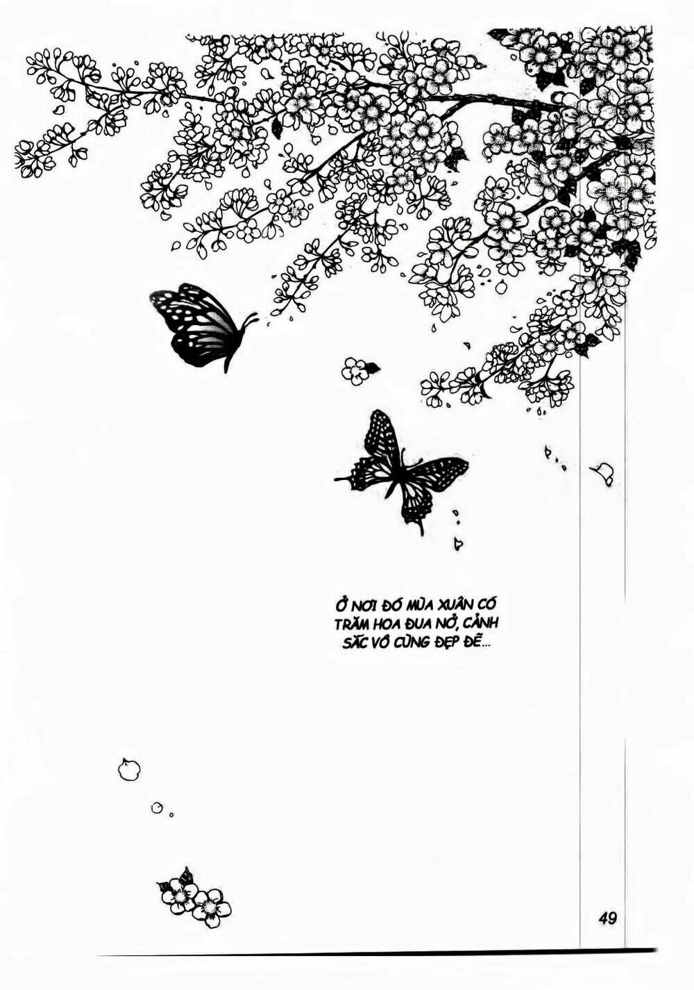 nabi - cánh bướm chapter 8 20