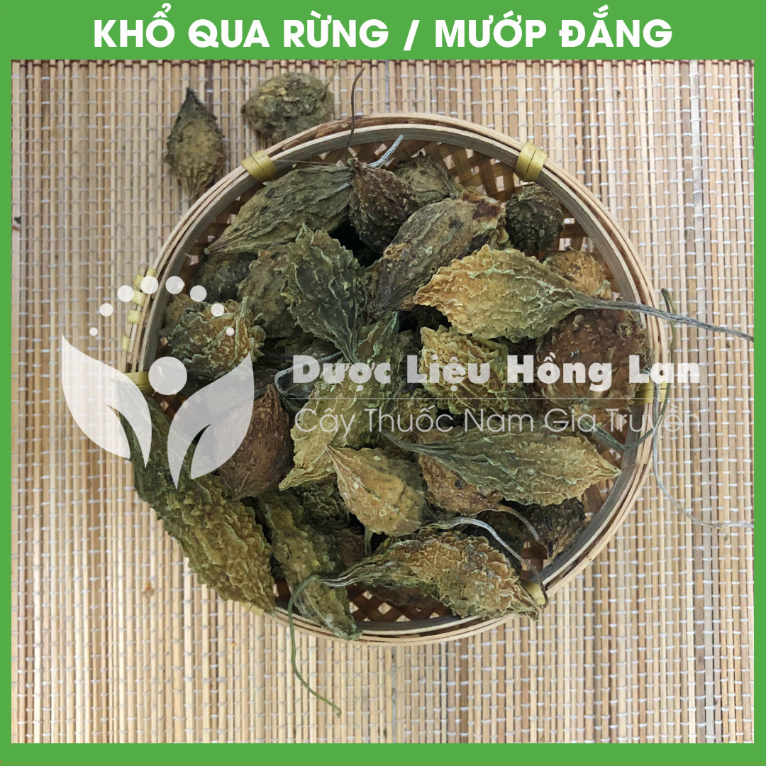 ✅ 500gram Trái khổ qua rừng nguyên quả khô sạch