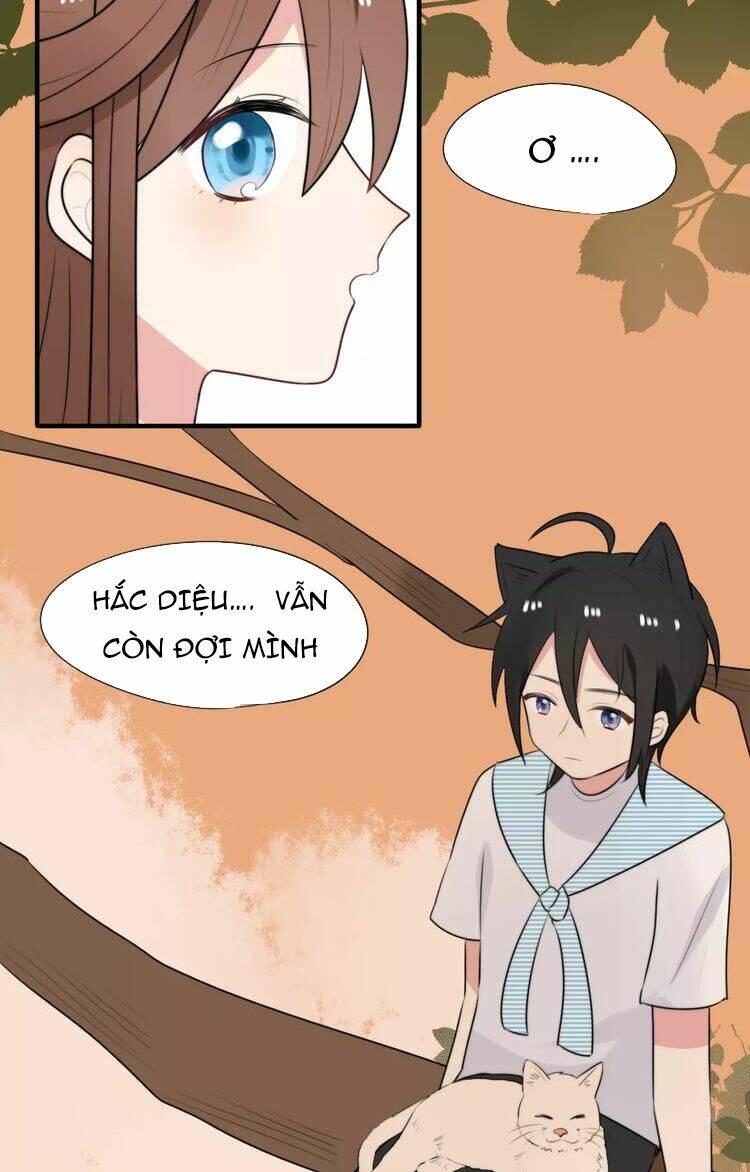 tiểu miêu và hắc diệu thạch chapter 7 5