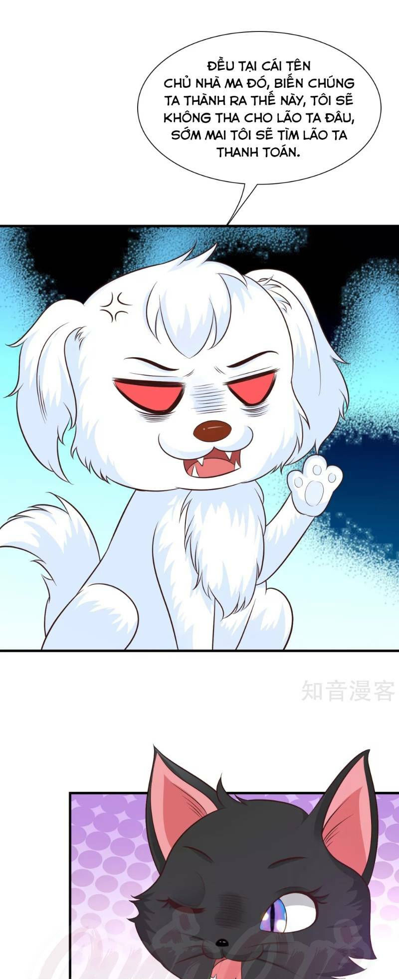 tối cường vận đào hoa chapter 79 17