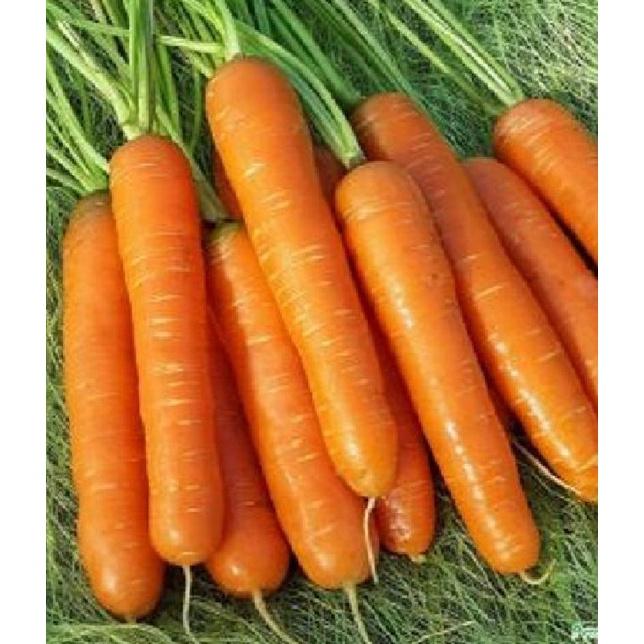 Hạt giống cà rốt chịu nhiệt-gói 100 hạt/tặng kèm gói phân bón lót
