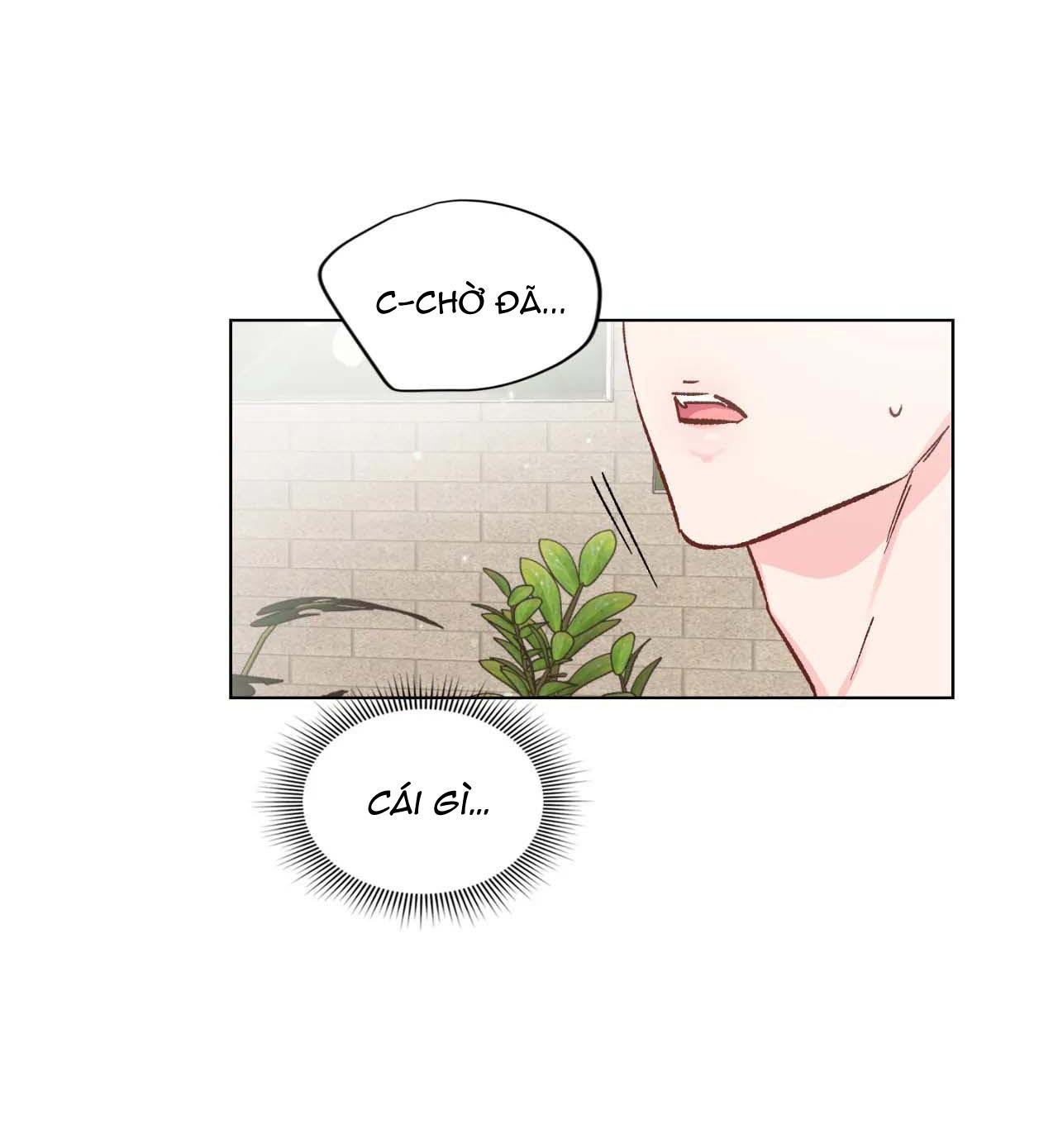 bước vào rắc rối chapter 5 5