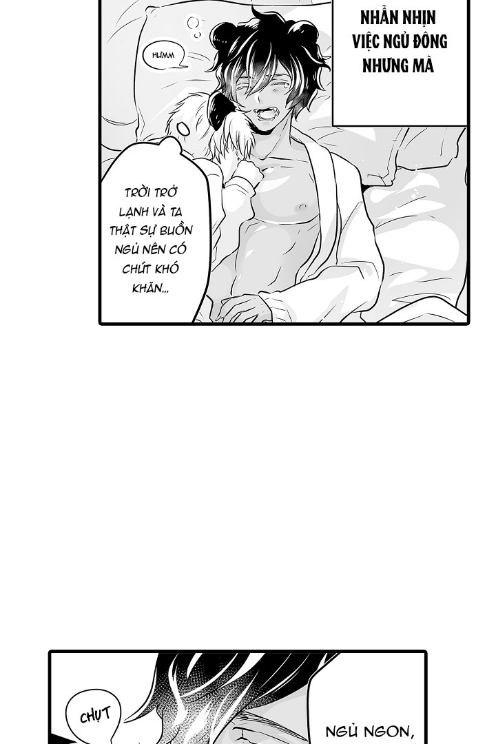 gấu ngủ đông chapter 1.2 3