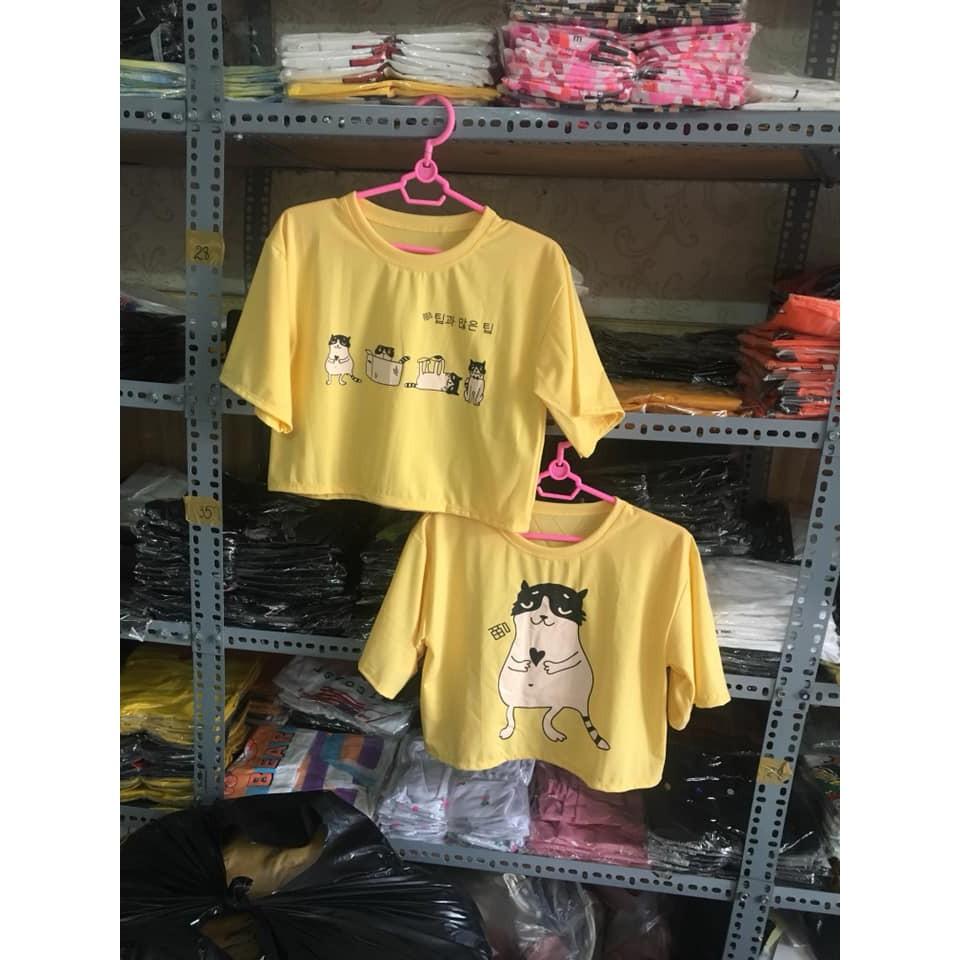 ÁO CROPTOP, ÁO CROPTOP Tay Ngắn NỮ, ÁO CROP ĐẸP, ÁO XINH, ÁO HOT, ÁO THUN LỬNG ULZZANG