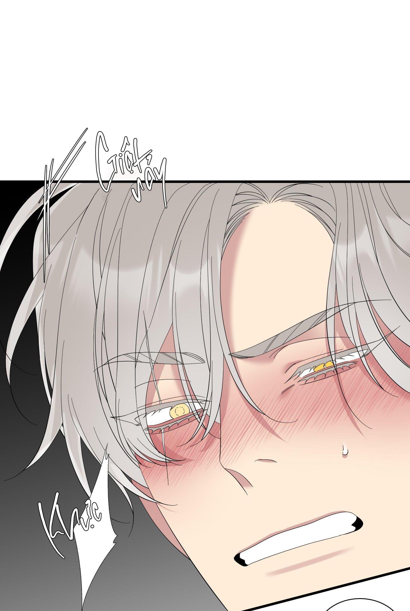 smyrna và capri chapter 36 57