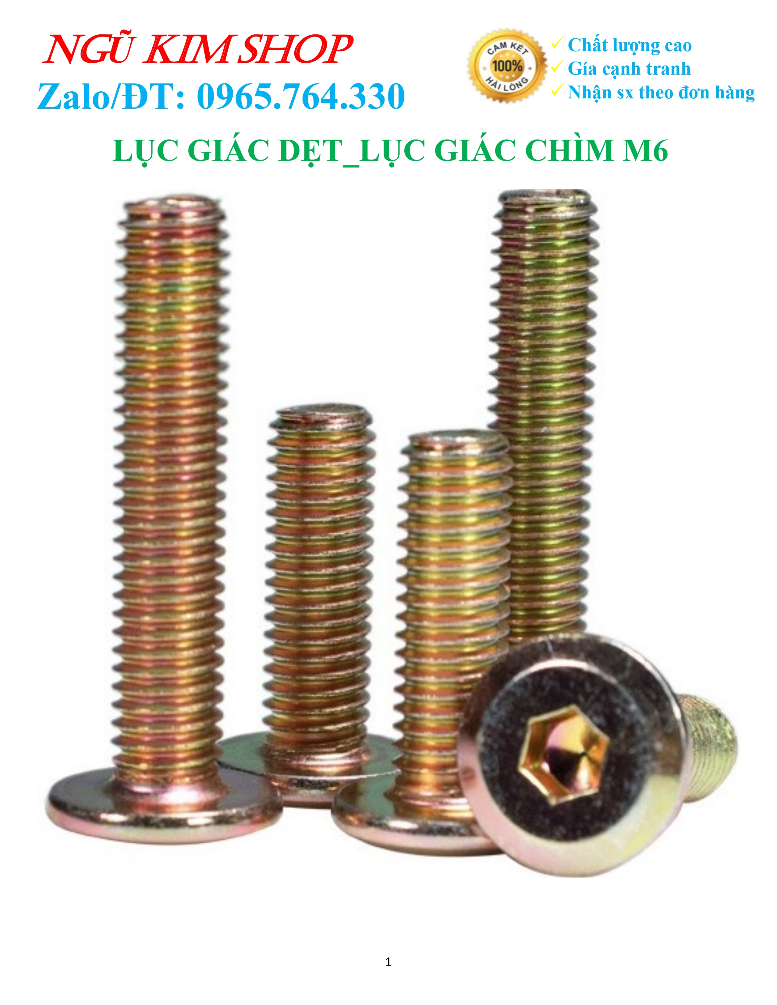 LỤC GIÁC DẸP _ BULONG LỤC GIÁC CHÌM M6 x L