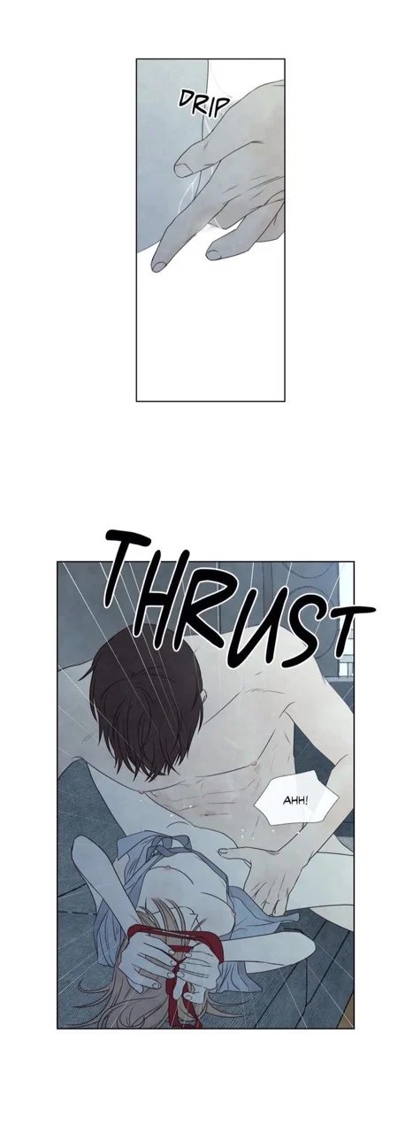 summer solstice point chapter 24 9