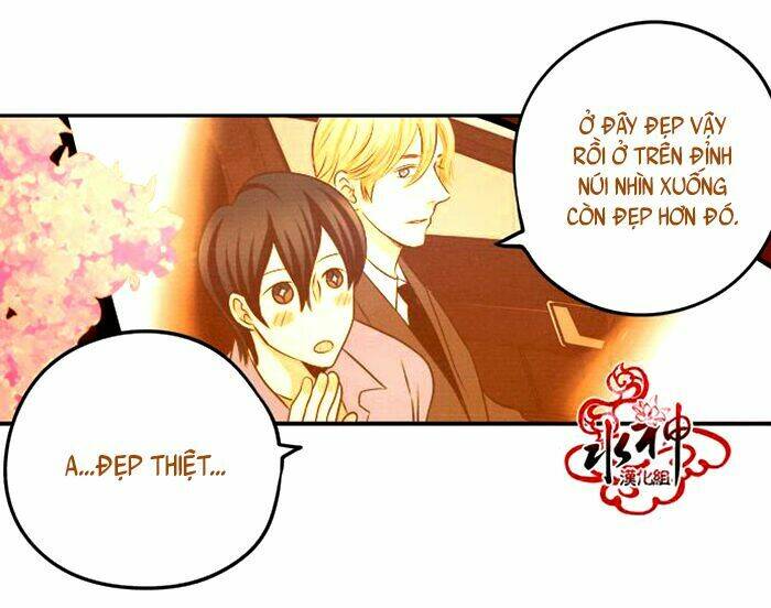something sweet chapter 12 19