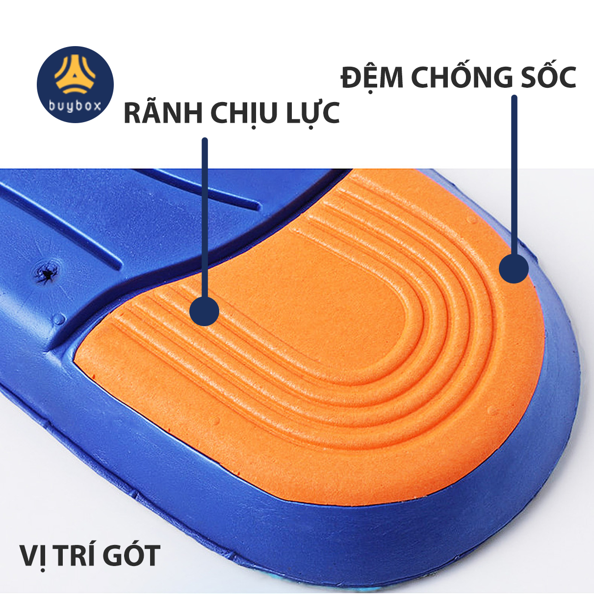 Lót giày thể thao EVA biết thở và có 2 đệm chịu lực hỗ trợ vận động thể thao - Đen phối xanh - buybox - BBPK155