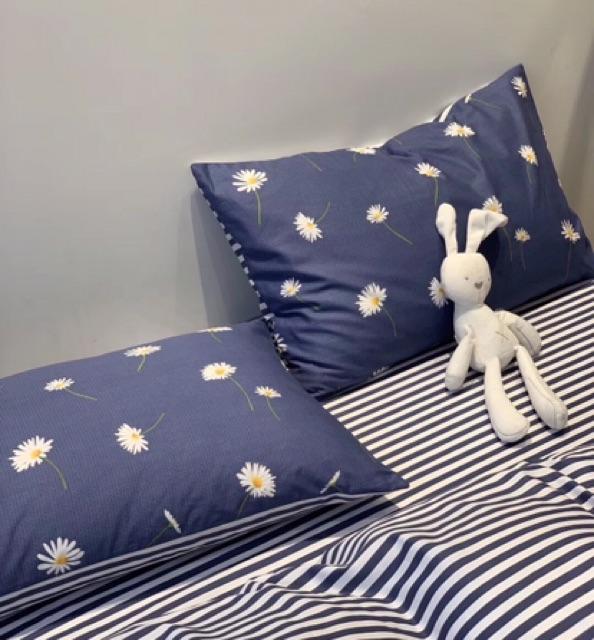 Set Chăn Ga Gối Cotton Living Hàng Nhập Khẩu Cao Cấp 4 Món Cúc Hoạ Mi Xanh