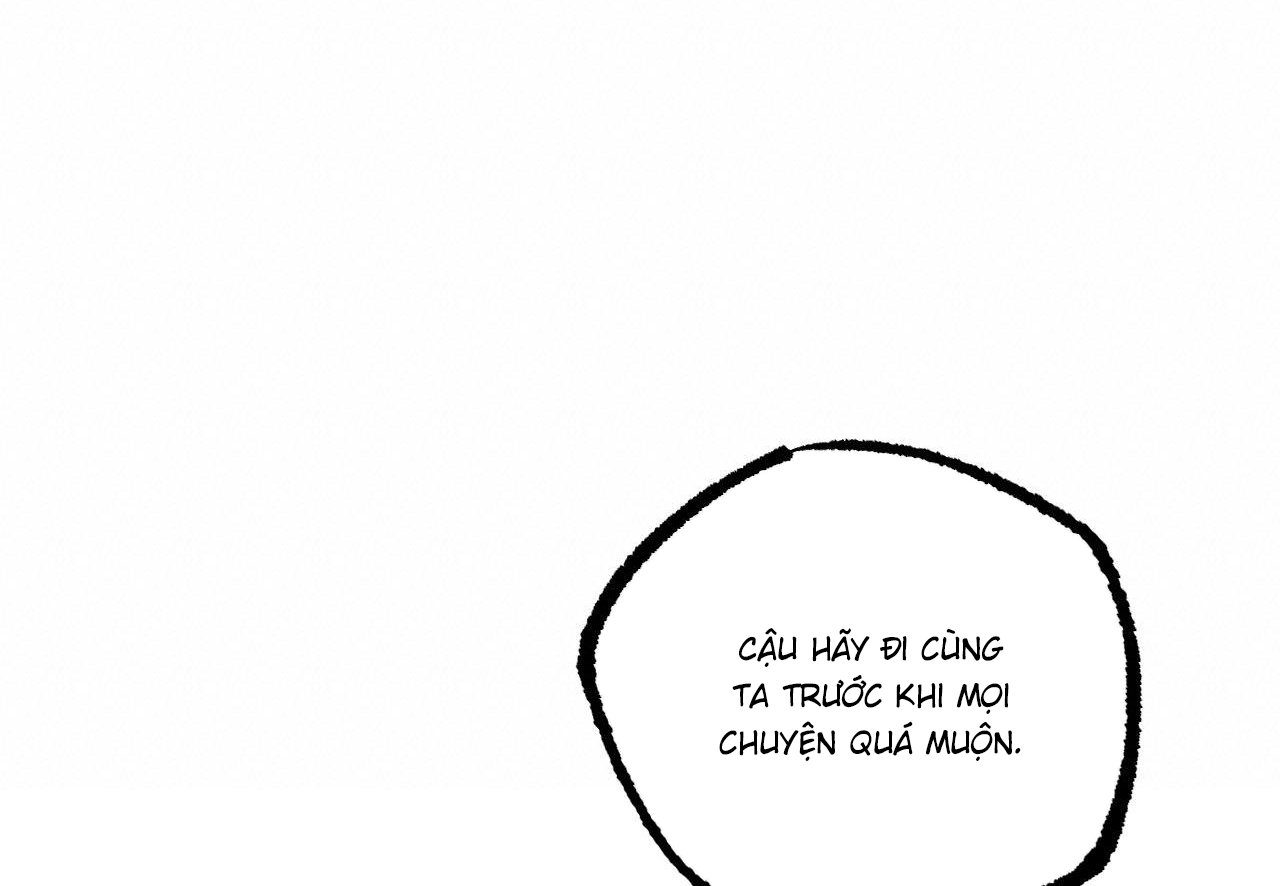 những chú thỏ của hapypy chapter 60 165