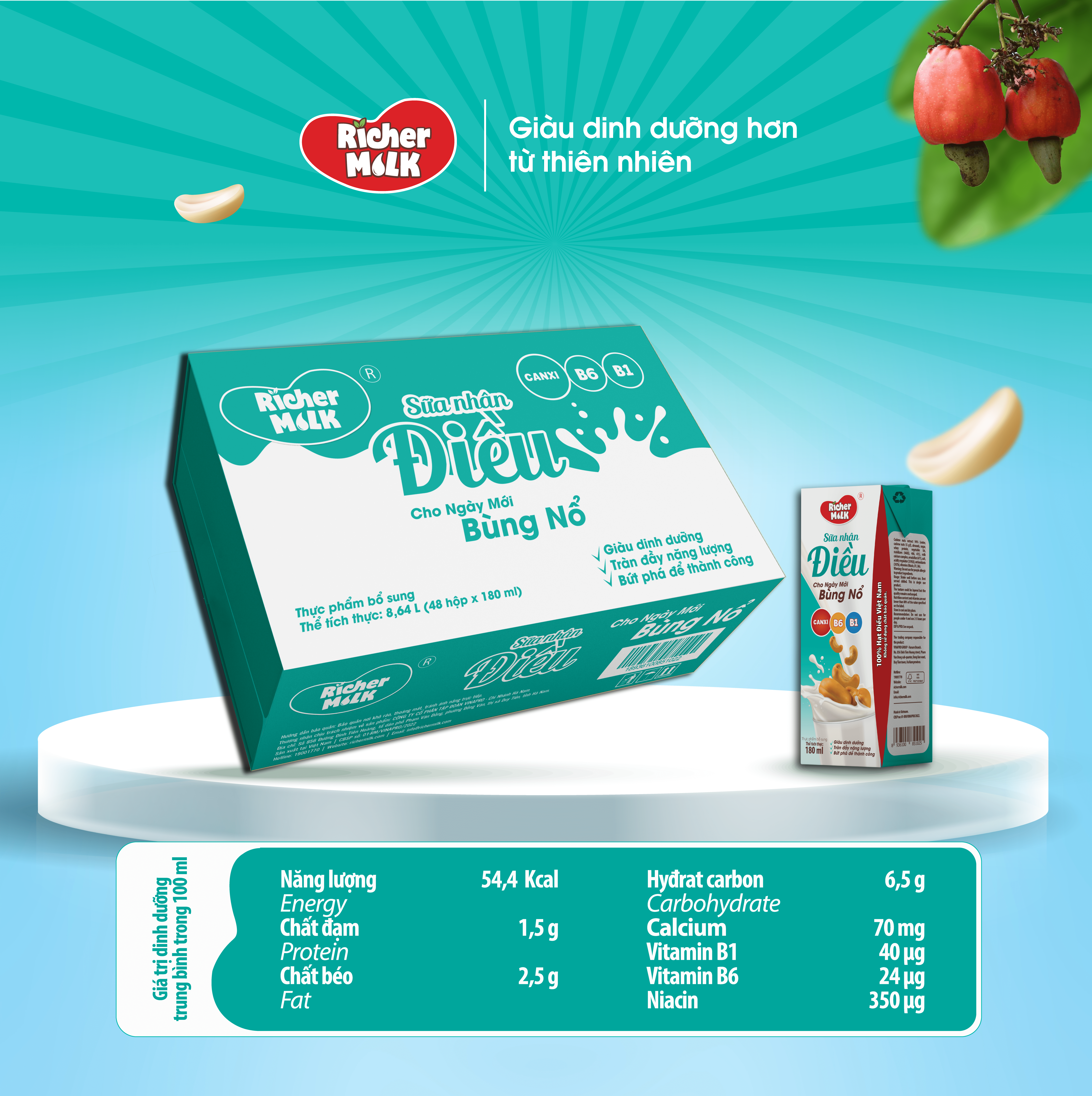 Thùng 48 hộp sữa hạt điều Richer Milk 180ml