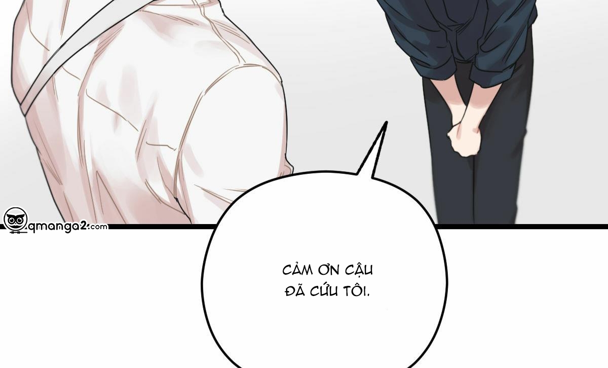 tương phùng chapter 7 250