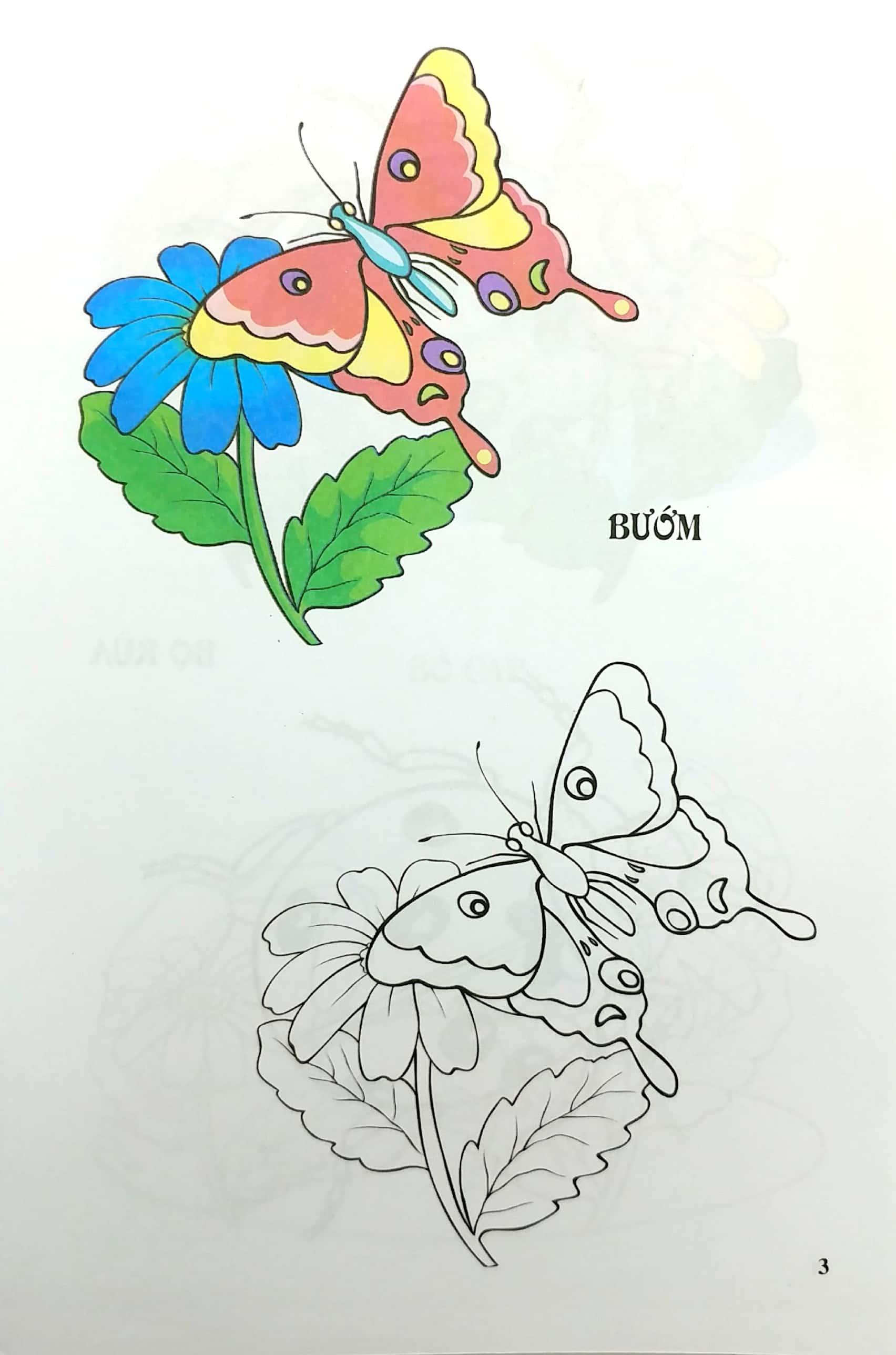 Tập Tô Màu - Côn Trùng