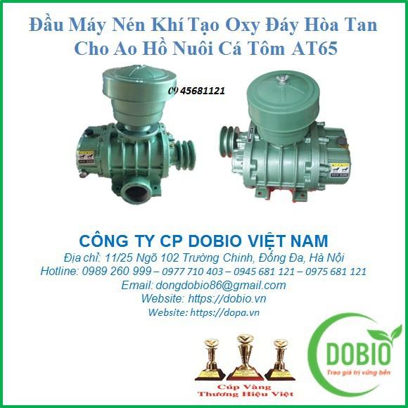 Làm sông trong ao nuôi cá dày đặc nông dân thu lời lớn