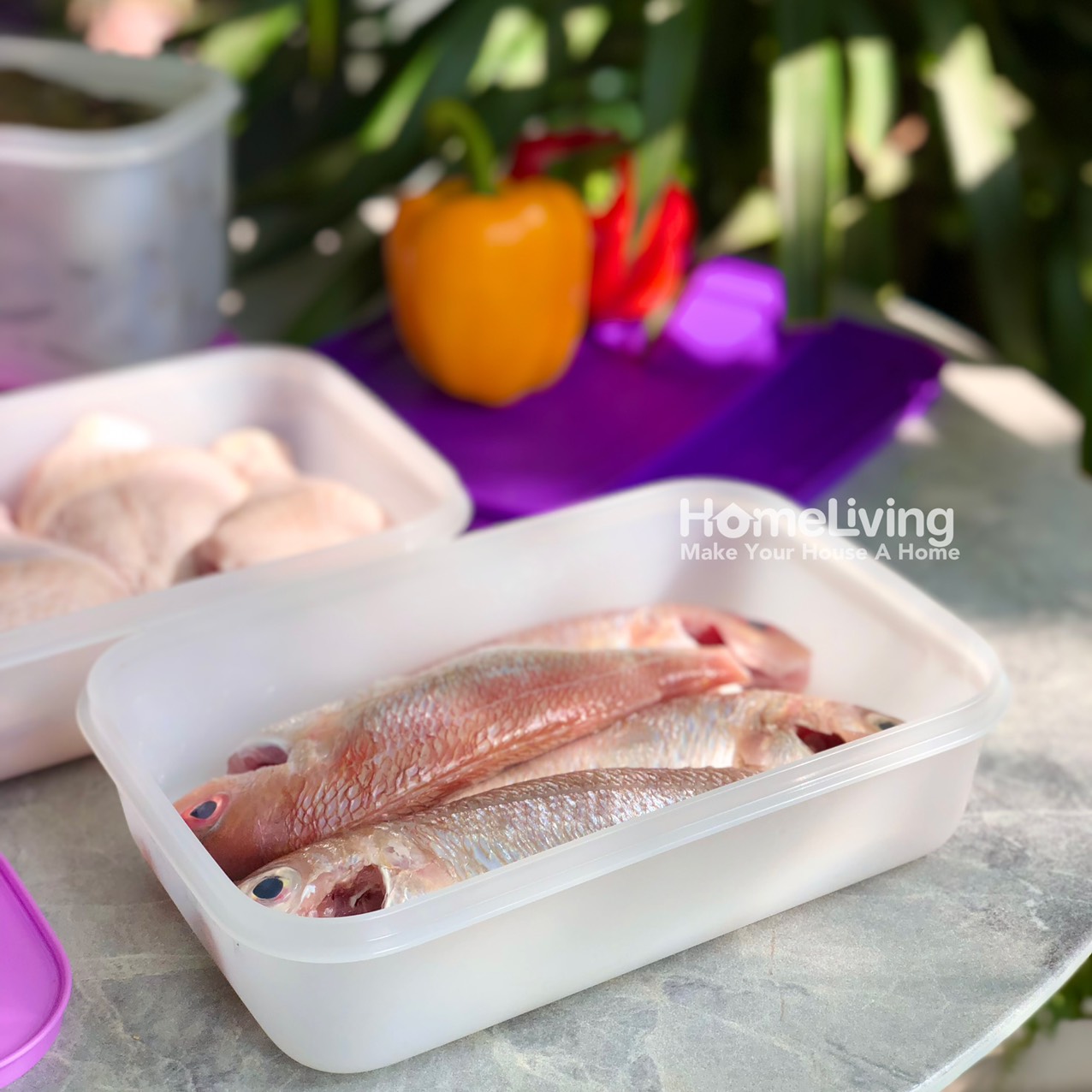 Bộ Trữ Đông Tupperware Freezermate Violet Set 6