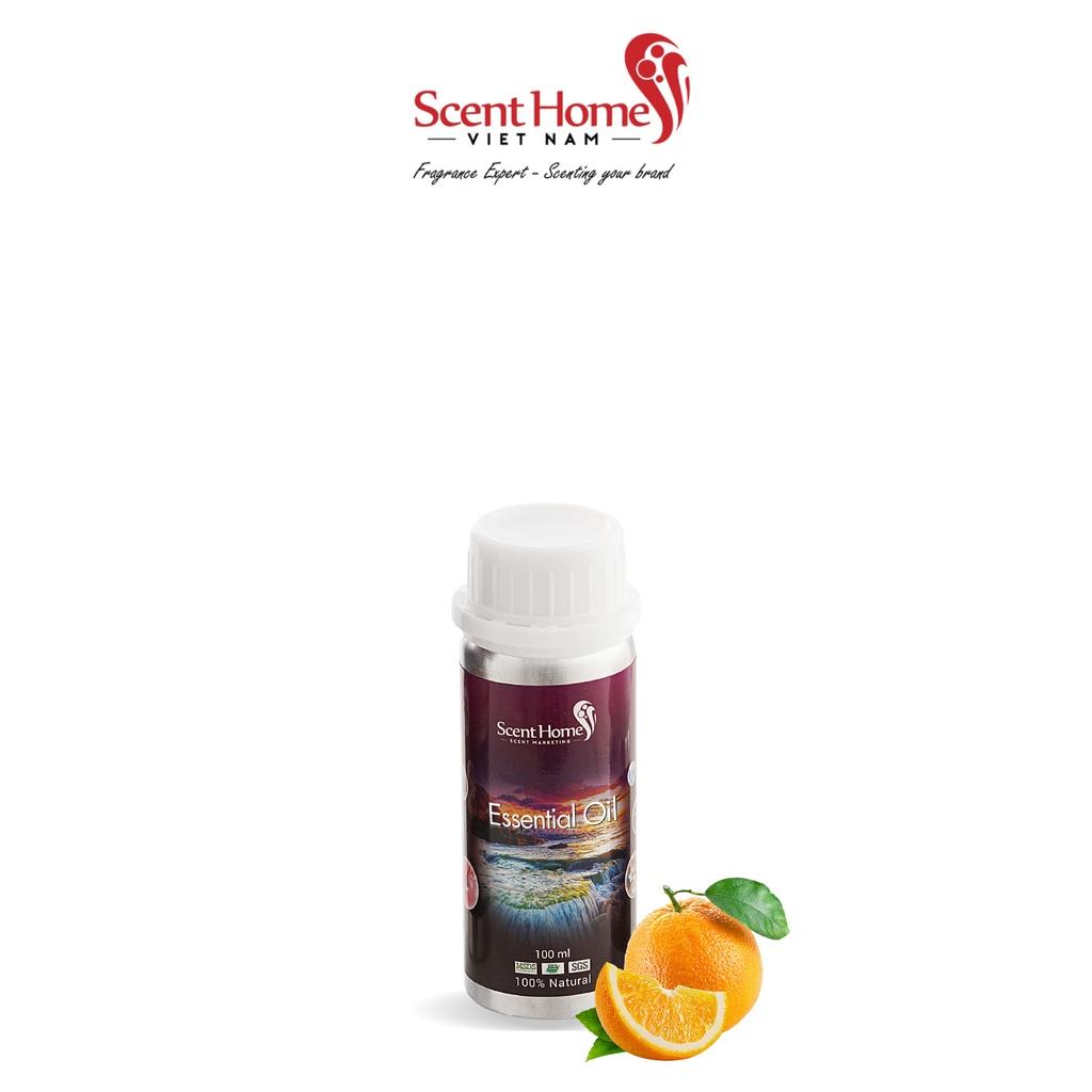 Tinh dầu Scent Homes - mùi hương (Sweet Orange)