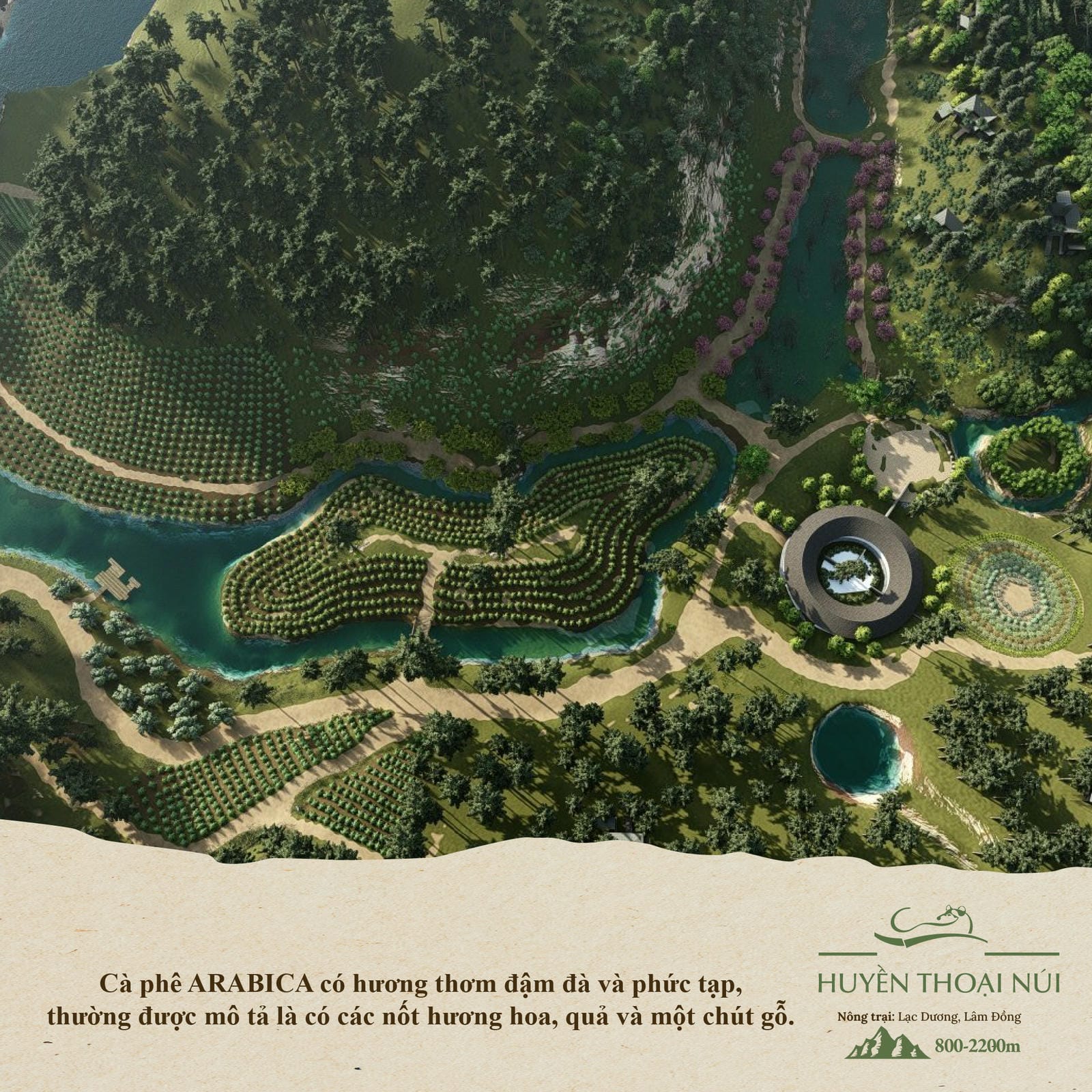 Cà Phê Chồn Arabica Blend Mountain Legend - Vị Ngọt Béo Tự Nhiên, Hương Hoa, Hậu Ngọt Sạch - Hộp 75g