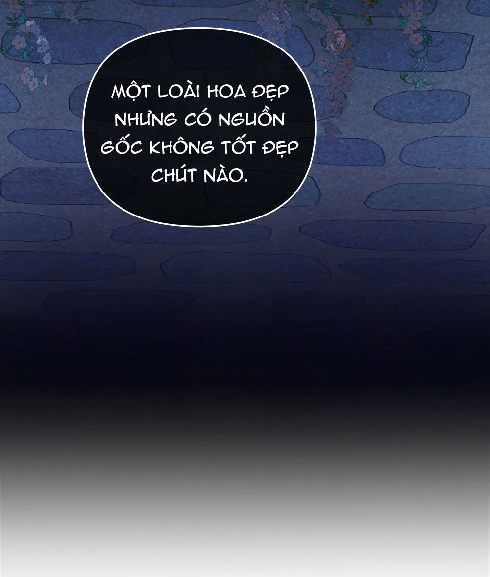 đăng tiêu hoa chapter 1 16