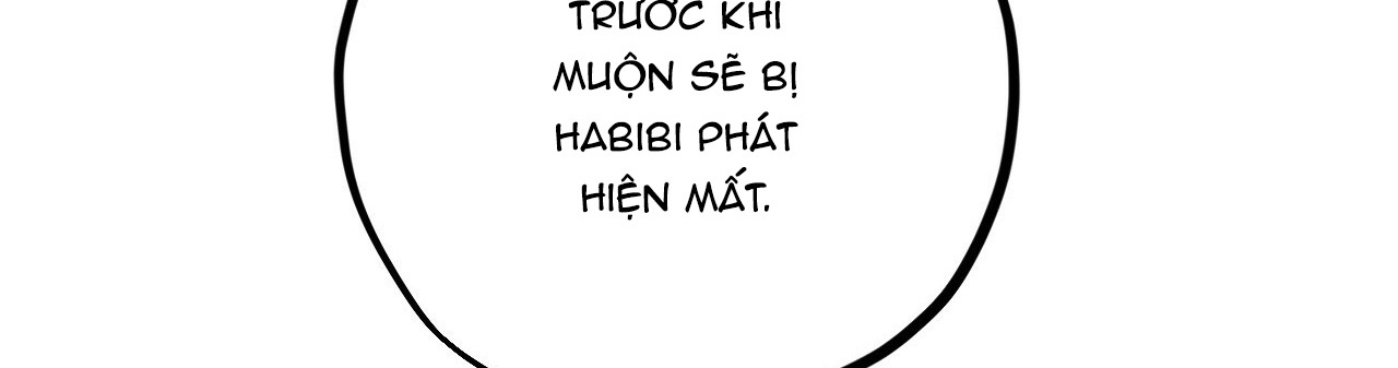 đàn thỏ của habibi chapter 22 530