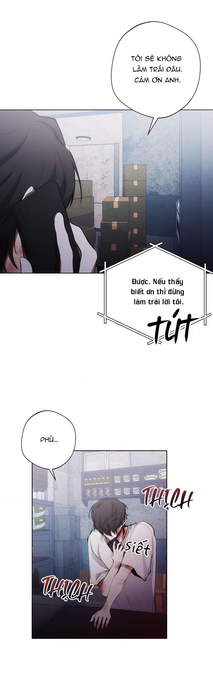 red mansion chapter 11 13