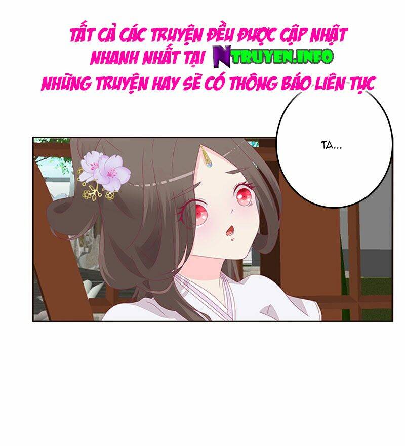 tướng quân mời ra trận chapter 81 16