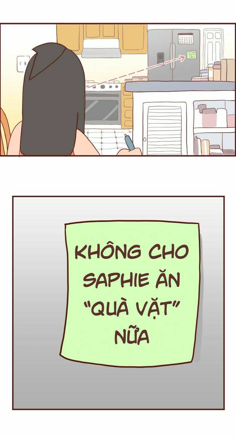 saphie: chú mèo một mắt chapter 6 4