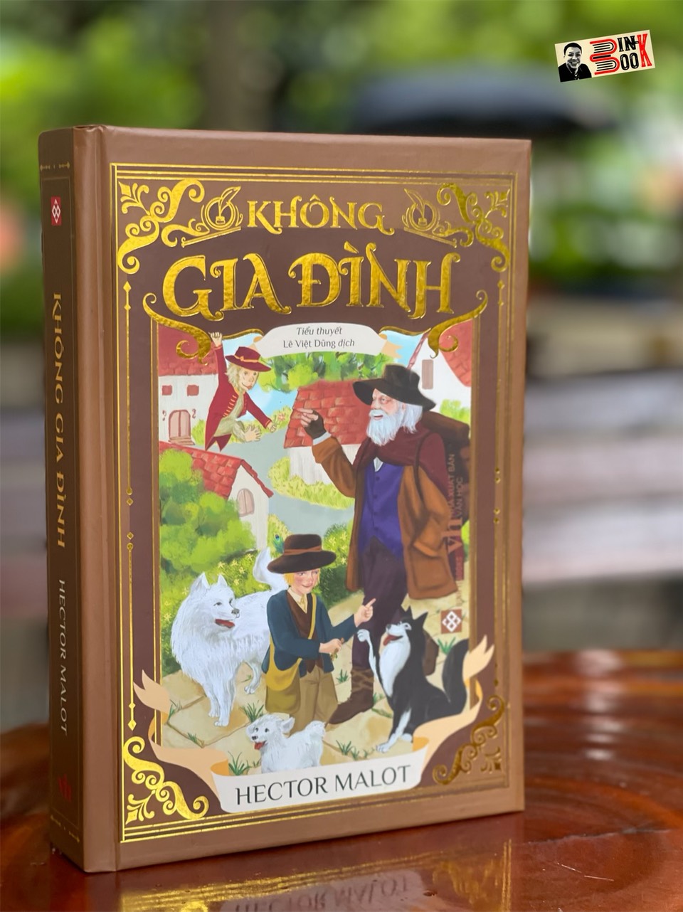 (Bìa cứng) KHÔNG GIA ĐÌNH (bản dịch mới, đầy đủ) – Hector Malot – Lê Việt Dũng dịch – Đinh Tị Books – NXB Văn học (tái bản năm 2022)